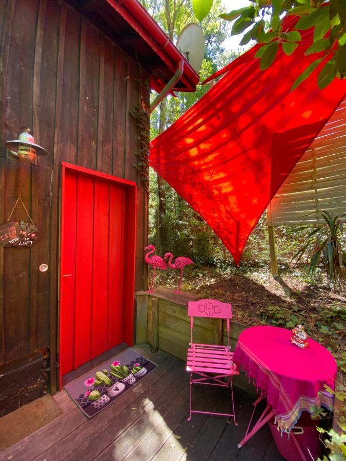 Le Loft Au-Dessus Des Pins Leilighet Lacanau Eksteriør bilde