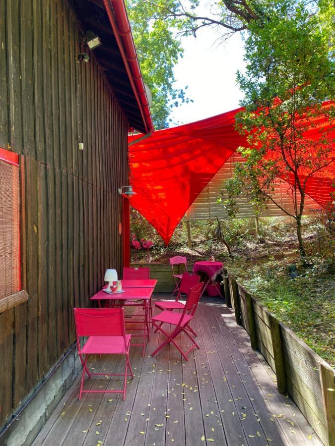 Le Loft Au-Dessus Des Pins Leilighet Lacanau Eksteriør bilde